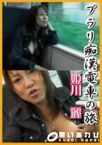 【ブラリ痴漢電車の旅】の一覧画像