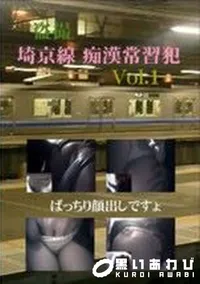 【盗撮 埼京線 痴漢常習犯 1】の一覧画像