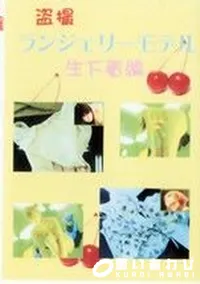 【盗撮 ランジェリーモデル 生下着編】の一覧画像