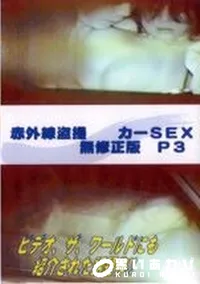 【赤外線盗撮 カーSEX 無修正版 P3】の一覧画像