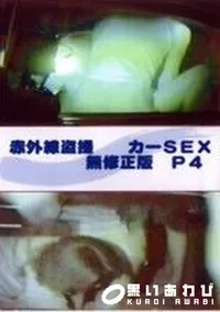 【赤外線盗撮 カーSEX 無修正版 P4】の一覧画像