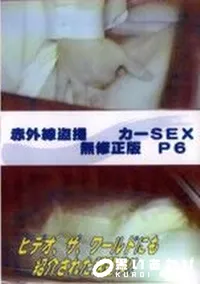 【赤外線盗撮 カーSEX 無修正版 P6】の一覧画像