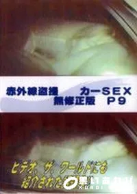 【赤外線盗撮 カーSEX 無修正版 P9】の一覧画像