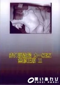 【赤外線盗撮 カーSEX 無修正版 11】の一覧画像