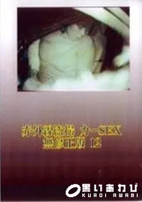 【赤外線盗撮 カーSEX 無修正版 12】の一覧画像