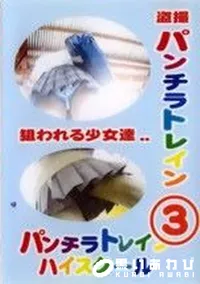 【盗撮 パンチラトレイン 3】の一覧画像