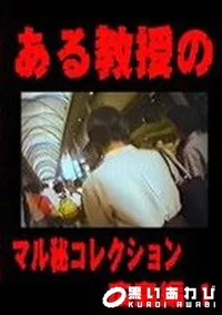 【ある教授のマル秘コレクション 広島編 1　】の一覧画像