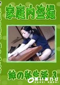 【家庭内盗撮 妹の私生活 3】の一覧画像