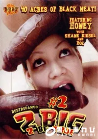 【2 Big To Be True 2 】の一覧画像