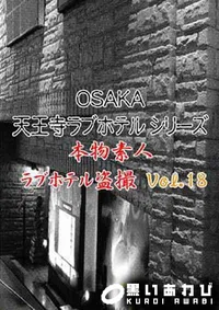 【OSAKA 天王寺ラブホテルシリーズ 18 】の一覧画像