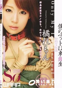 【僕のペットは東○生 】の一覧画像