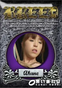 【BREED 28 】の一覧画像