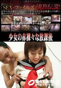 【SEX-ファイルズ　流出伝説　少女の赤裸々な放課後 】の一覧画像