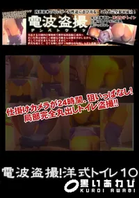 【電波盗撮!洋式トイレ 10 】の一覧画像