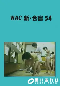 【WAC 新・合宿 54 】の一覧画像