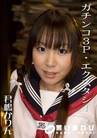 【ガチンコ4P・エクスタシー 】の一覧画像