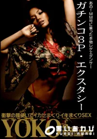 【ガチンコ3P・エクスタシー YOKO 】の一覧画像