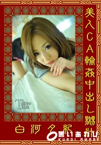 【美人CA輪姦中出し嬲汁 】の一覧画像