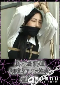 【高慢美人OL潮吹きアクメ地獄 】の一覧画像