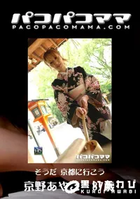 【パコパコママ 485 そうだ 京都に行こう 】の一覧画像