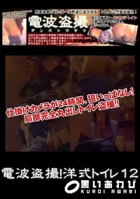 【電波盗撮!洋式トイレ 12】の一覧画像