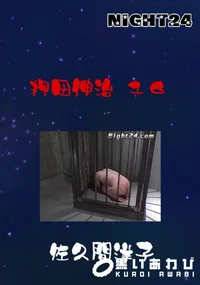 【Night24押田伸治 16】の一覧画像