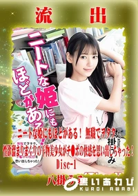 【【極秘流出】八□うみ リメイク Disc-1】の一覧画像
