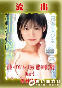 【【極秘流出】虹□ゆみ リメイク Disc-2】の一覧画像