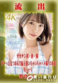 【【極秘流出】野□あん リメイク Disc-1】の一覧画像