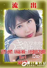 【【極秘流出】夏□響 リメイク Disc-2】の一覧画像