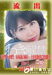【【極秘流出】夏□響 リメイク Disc-1】の一覧画像
