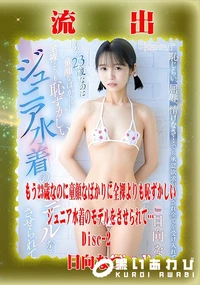【【極秘流出】日□なつ リメイク Disc-2】の一覧画像