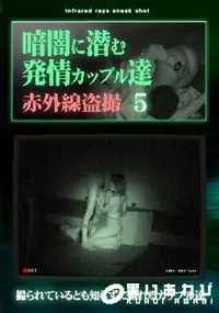 【暗闇に潜む発情カップル達5】の一覧画像