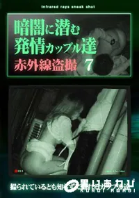 【暗闇に潜む発情カップル達7】の一覧画像