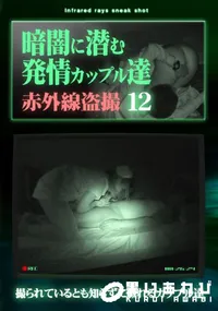 【暗闇に潜む発情カップル達12】の一覧画像
