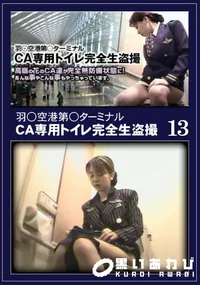 【羽○空港第○ターミナルCA専用トイレ完全生盗撮13】の一覧画像