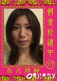 【餌食珍道中377】の一覧画像