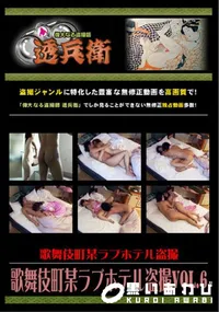 【歌舞伎町某ラブホテル盗撮Vol.6】の一覧画像