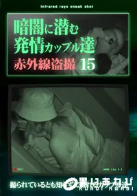 【暗闇に潜む発情カップル達15】の一覧画像