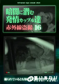 【暗闇に潜む発情カップル達16】の一覧画像
