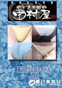 【のぞき本舗 中村屋海辺のワレ目アイドルvol.5】の一覧画像