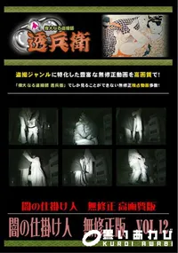 【闇の仕掛け人　無修正版　Vol.12 】の一覧画像