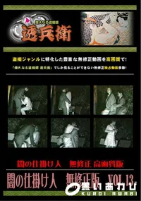 【闇の仕掛け人　無修正版　Vol.13 】の一覧画像