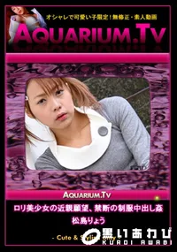 【ロリ美少女の近親願望、禁断の制服中出し姦 】の一覧画像