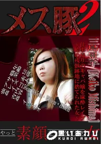 【メス豚2 仕事帰りのキャバ嬢を麻酔レイプ〜峠の残骸跡地に捨てられた女〜 】の一覧画像