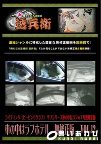 【車の中はラブホテル　無修正版　 Vol.12 】の一覧画像