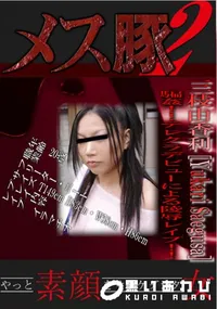 【メス豚2 騙姦!!テレクラデビューによる陵辱レイプ!!】の一覧画像