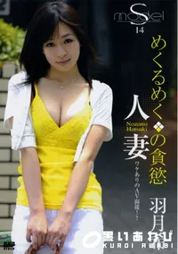 【S Model 14 】の一覧画像