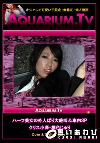 【ハーフ美女の外人ばり大絶叫&車内3P 】の一覧画像