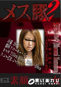 【ストーカー被害続出!!刃物を持った男が若い女を脅し犯す! 】の一覧画像